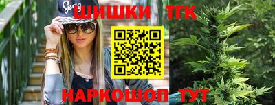Альфа ПВП Малгобек