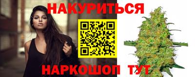Альфа ПВП Малгобек