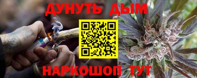 Альфа ПВП Малгобек