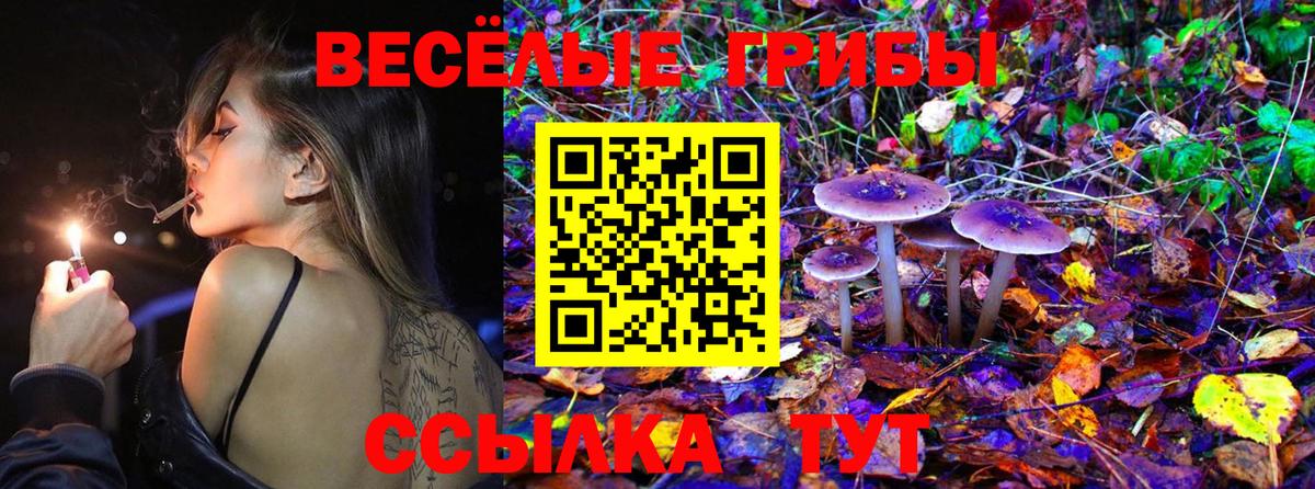 Сибай  Галлюциногенные грибы мухоморы  Вход с VPN 